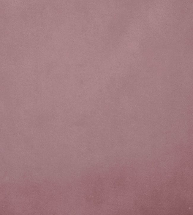 Alaska Nursery Fabric - Purple