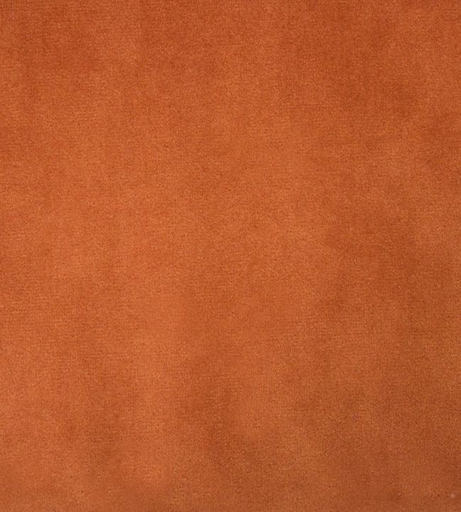 Alaska Nursery Fabric - Orange