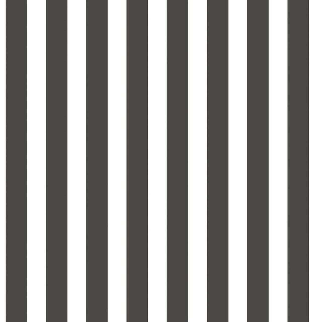 Regency Stripe Tiny Tots 2 Nursery Wallpaper - Black