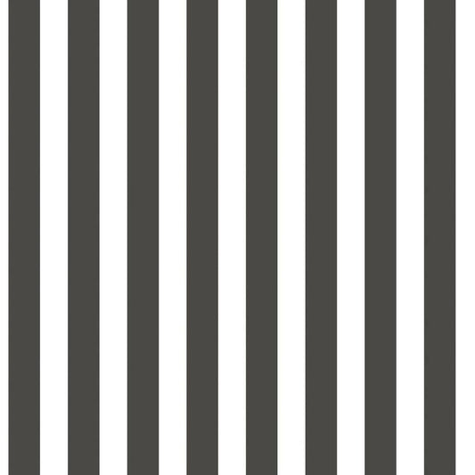 Regency Stripe Tiny Tots 2 Nursery Wallpaper - Black