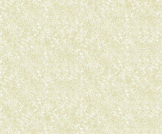 Champagne Dots Wallpaper - Cream - Rifle