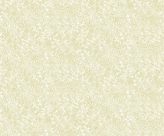 Champagne Dots Wallpaper - Cream - Rifle