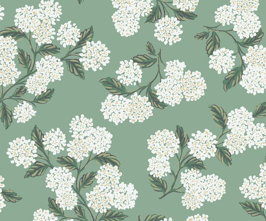 Hydrangea Wallpaper - Teal - Rifle