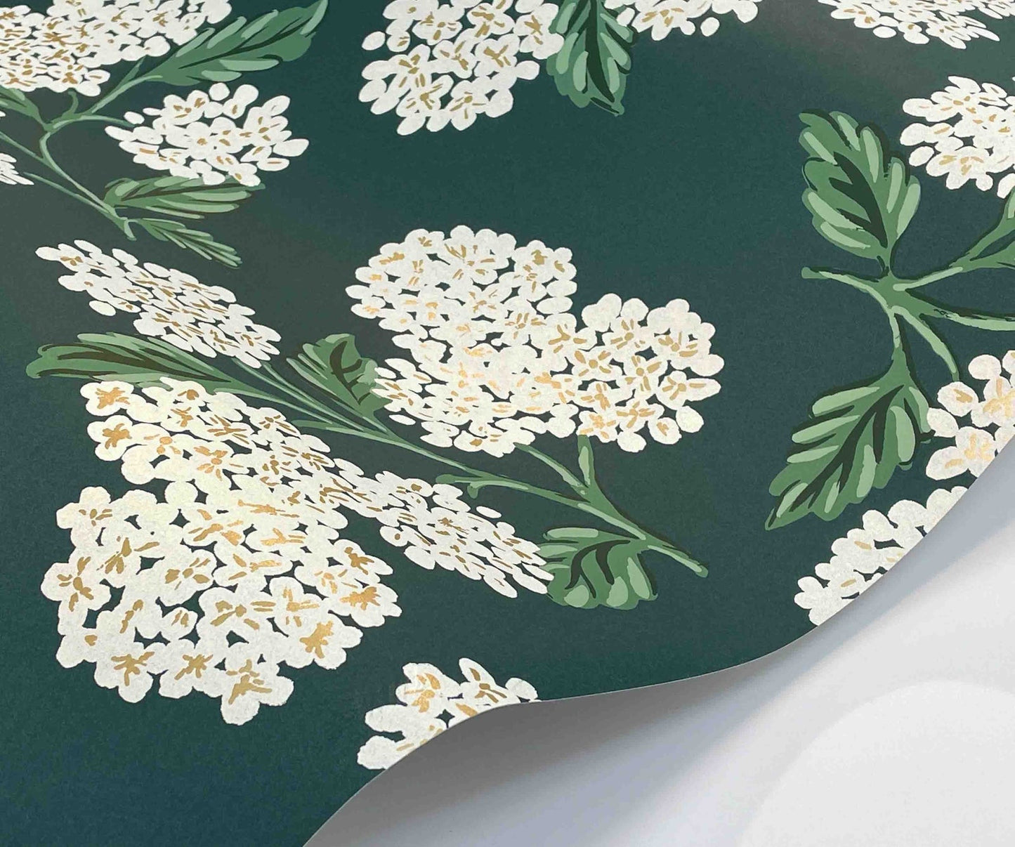Hydrangea Wallpaper - Green - Rifle