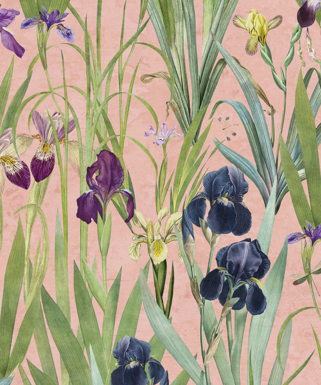Iris Garden Mural
