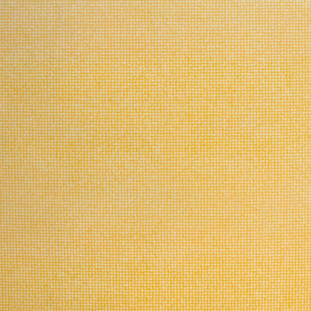 Mini Dots Great Kids Wallpaper