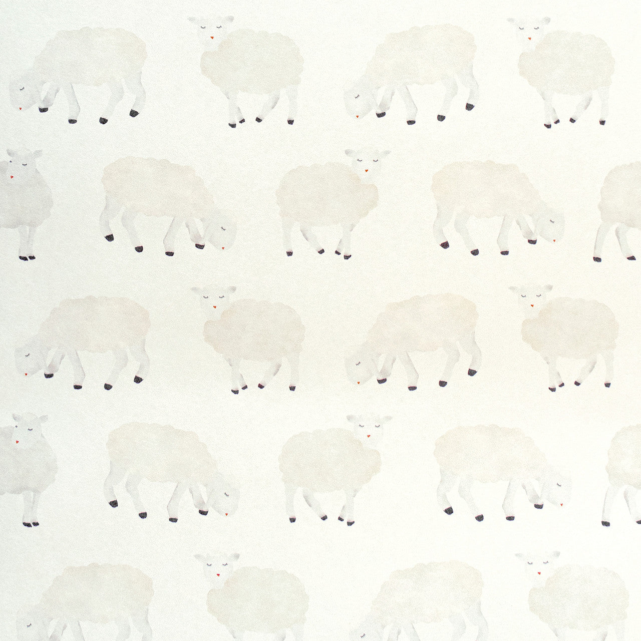 Sweet Sheep Great Kids Wallpaper
