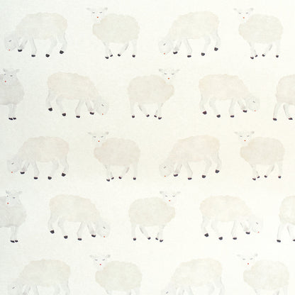 Sweet Sheep Great Kids Wallpaper