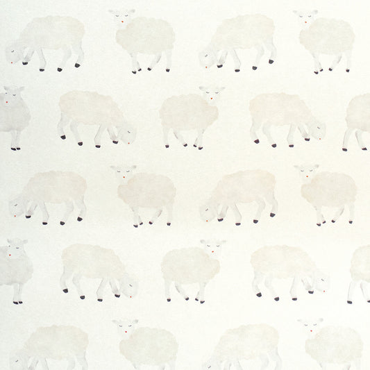 Sweet Sheep Great Kids Wallpaper