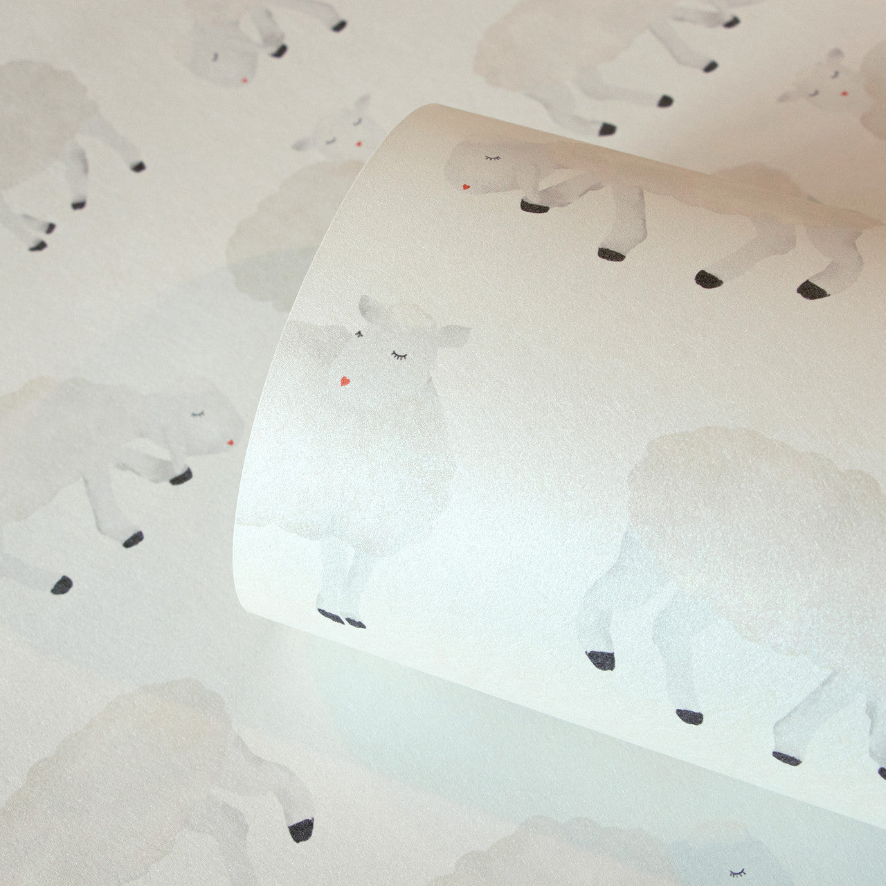 Sweet Sheep Great Kids Wallpaper
