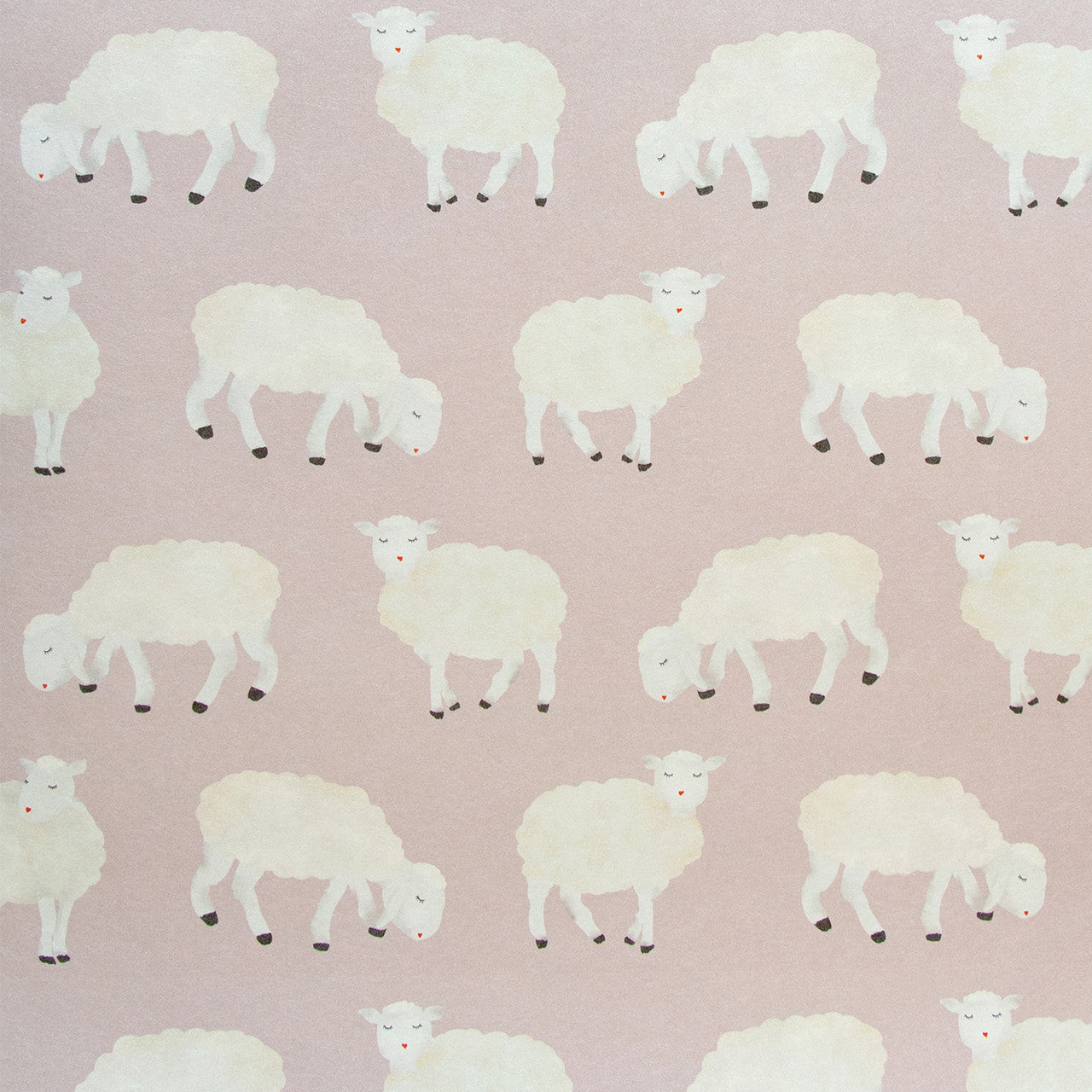 Sweet Sheep Great Kids Wallpaper