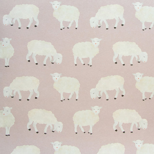Sweet Sheep Great Kids Wallpaper