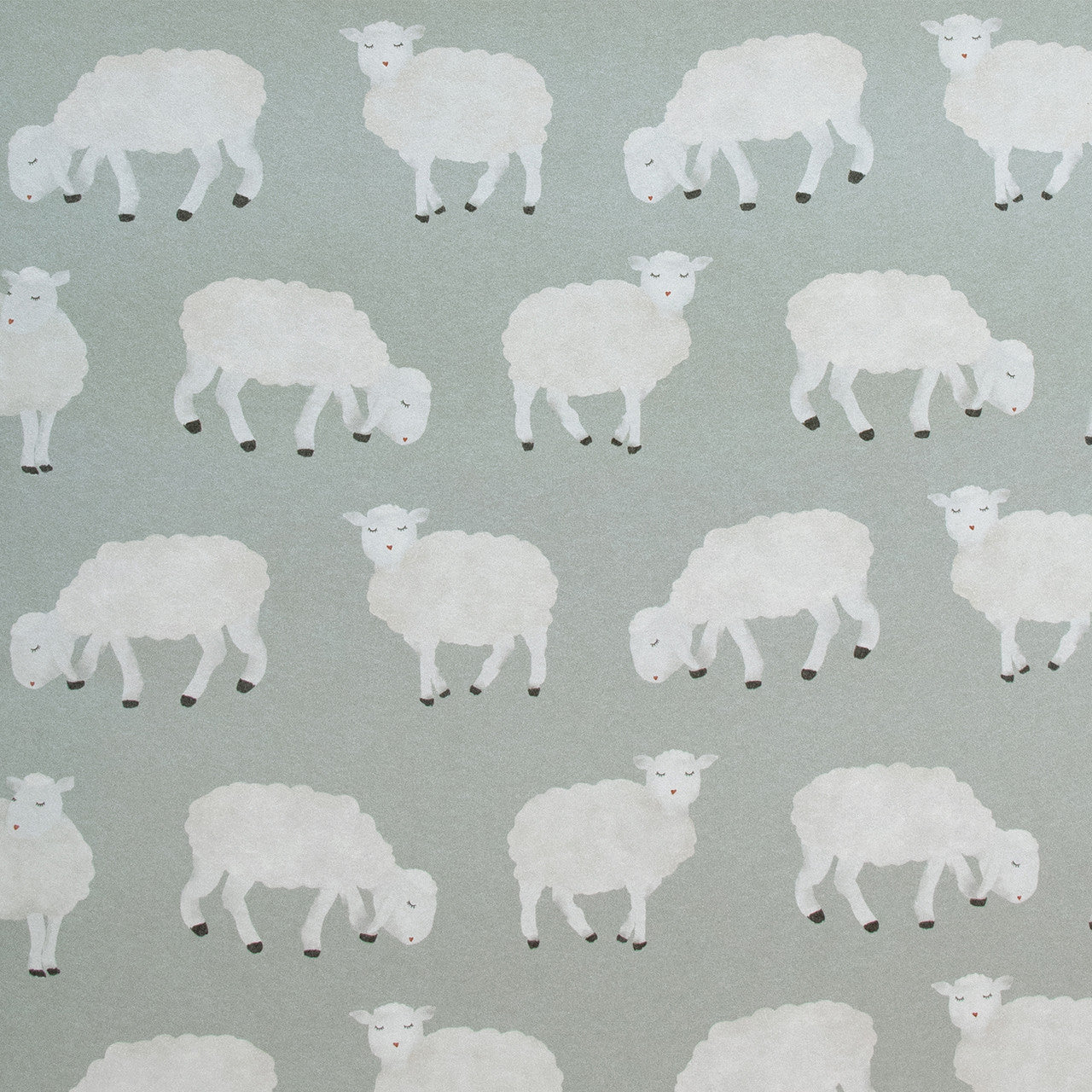 Sweet Sheep Great Kids Wallpaper