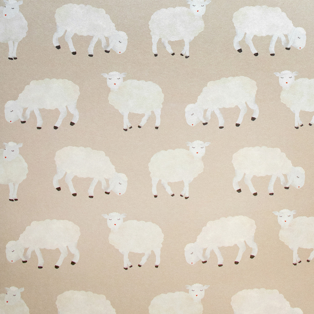 Sweet Sheep Great Kids Wallpaper