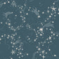 Resan Star Wallpaper
