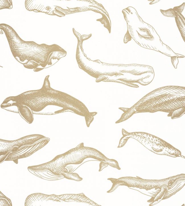 Whale Done Nursery Wallpaper - Sand