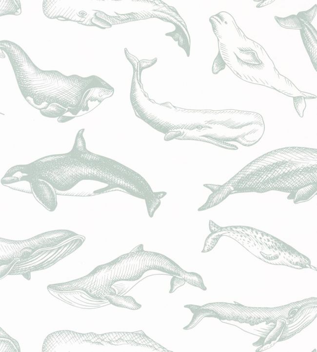 Whale Done Nursery Wallpaper - Gray