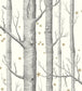 Woods & Stars Nursery Wallpaper - Silver