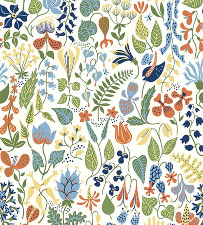 Herbarium Nursery Wallpaper - Multicolor