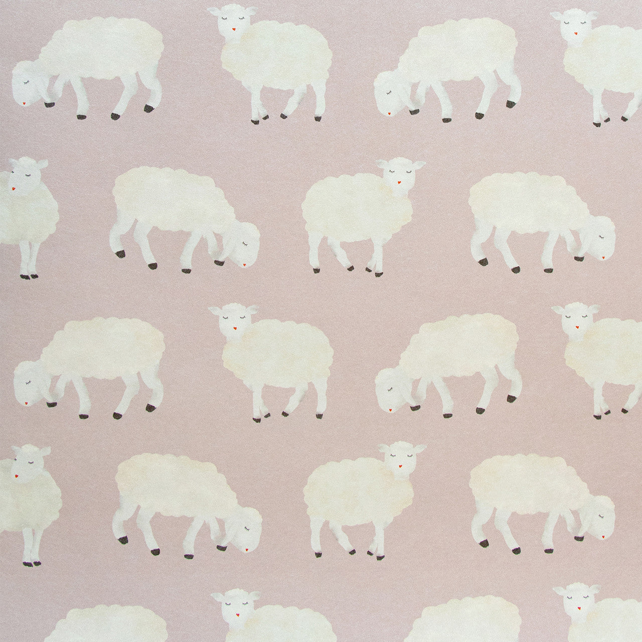Sweet Sheep Great Kids Nursery Wallpaper - Pink
