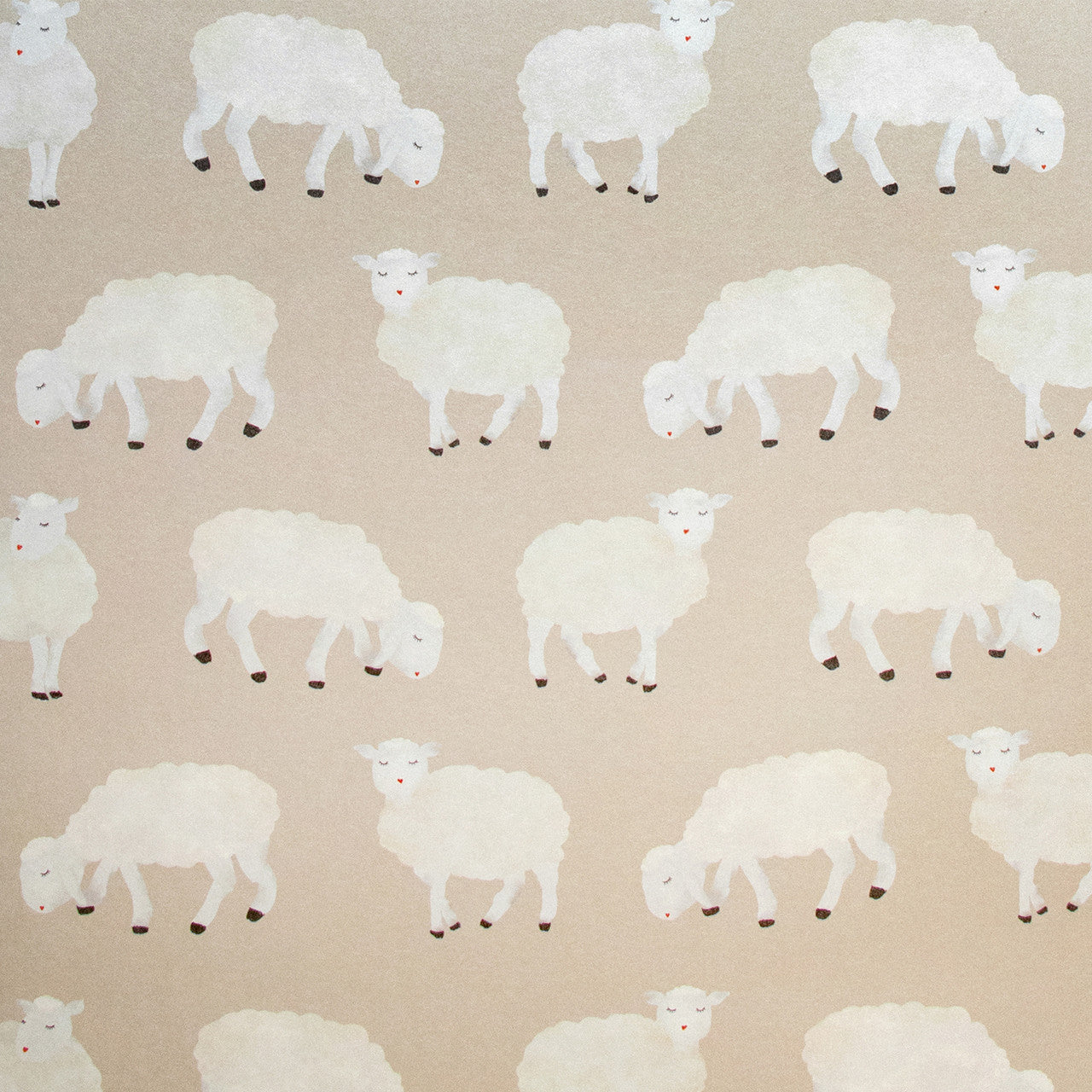 Sweet Sheep Great Kids Nursery Wallpaper - Cream
