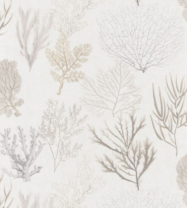 Corail Nursery Wallpaper - Gray