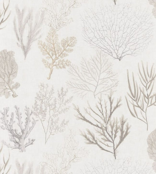 Corail Nursery Wallpaper - Gray