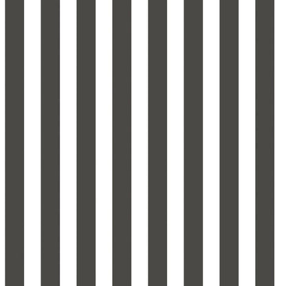 Regency Stripe Tiny Tots 2 Nursery Wallpaper - Black