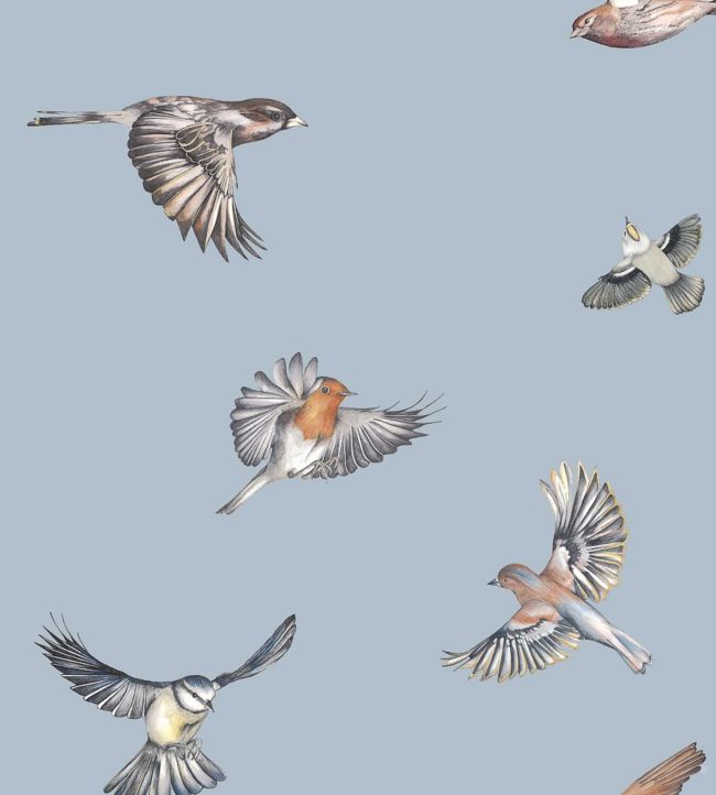 Early Bird Nursery Wallpaper - Blue