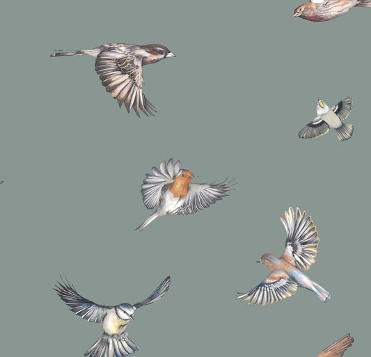 Early Bird Nursery Wallpaper - Gray