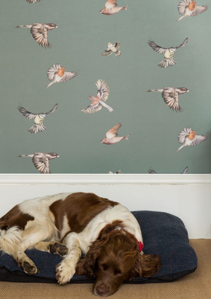 Early Bird Nursery Room Wallpaper 2 - Gray