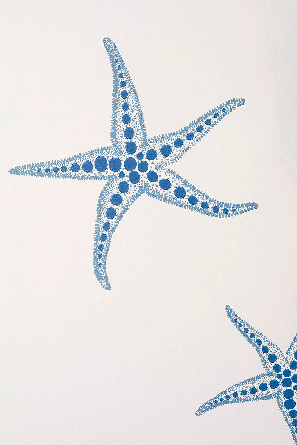 Starfish Nursery Room Wallpaper 7 - White