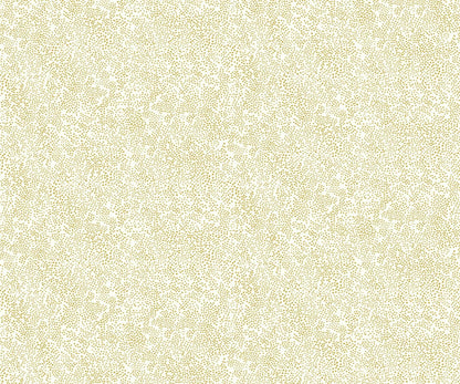 Champagne Dots Wallpaper - Cream - Rifle