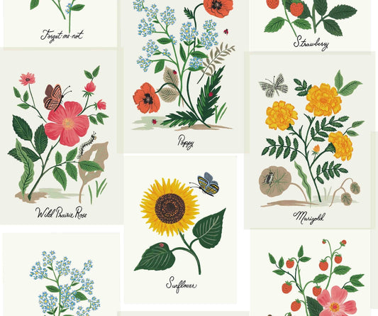 Botanical Prints Wallpaper - Multicolor - Rifle