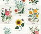 Botanical Prints Wallpaper - Multicolor - Rifle