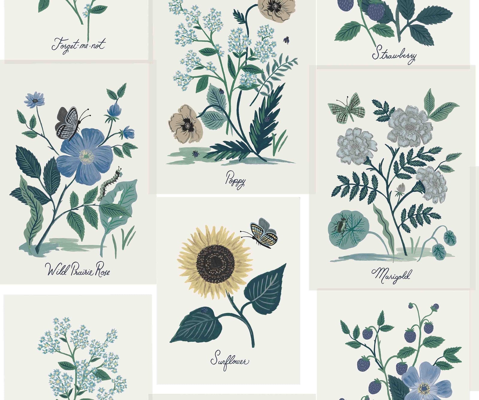Botanical Prints Wallpaper - Blue - Rifle