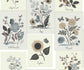 Botanical Prints Wallpaper - Silver - Rifle