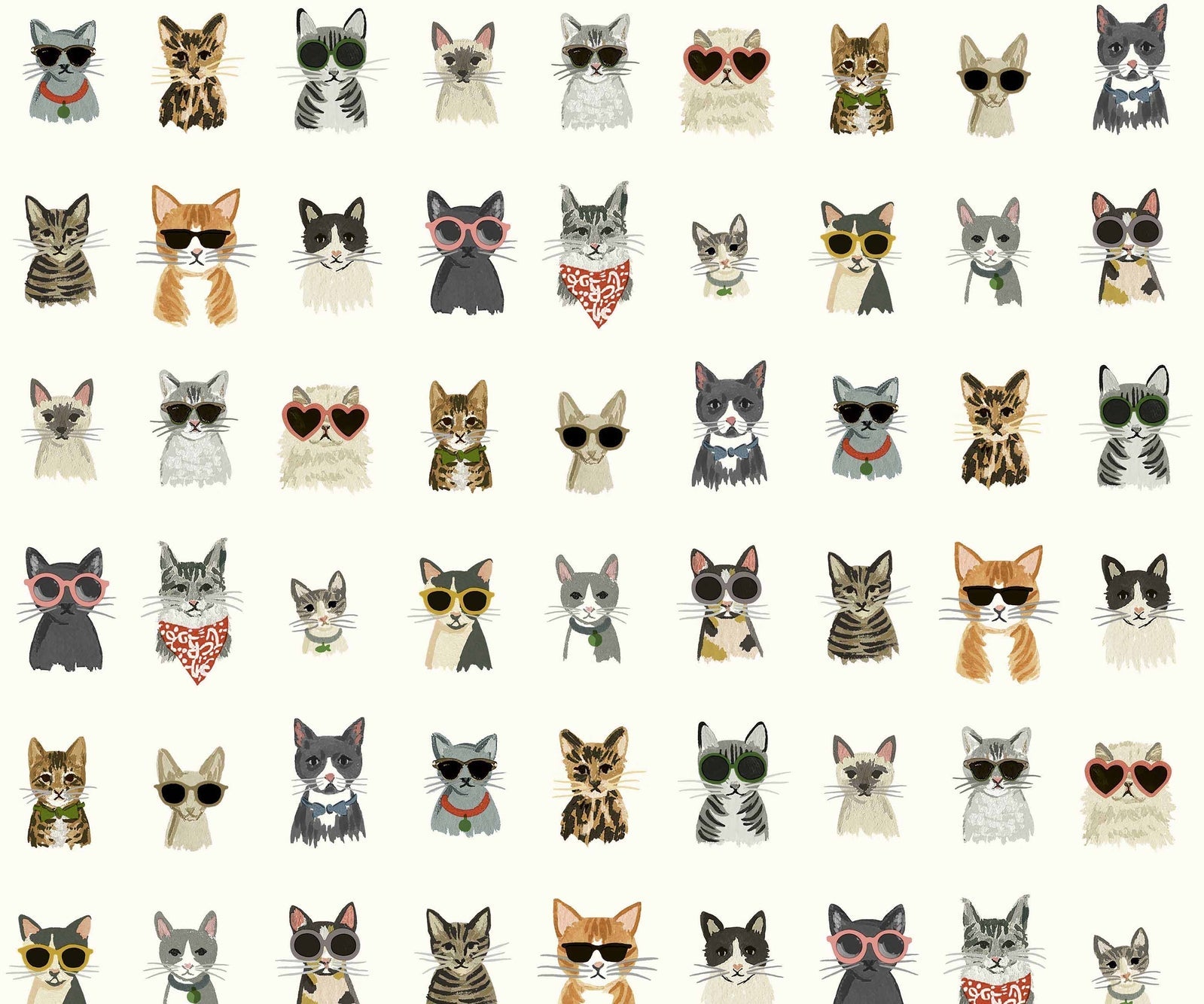 Cool Cats Peel & Stick Wallpaper – kidswallpapercompany