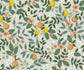 Citrus Grove Peel & Stick Wallpaper - Multicolor - Rifle
