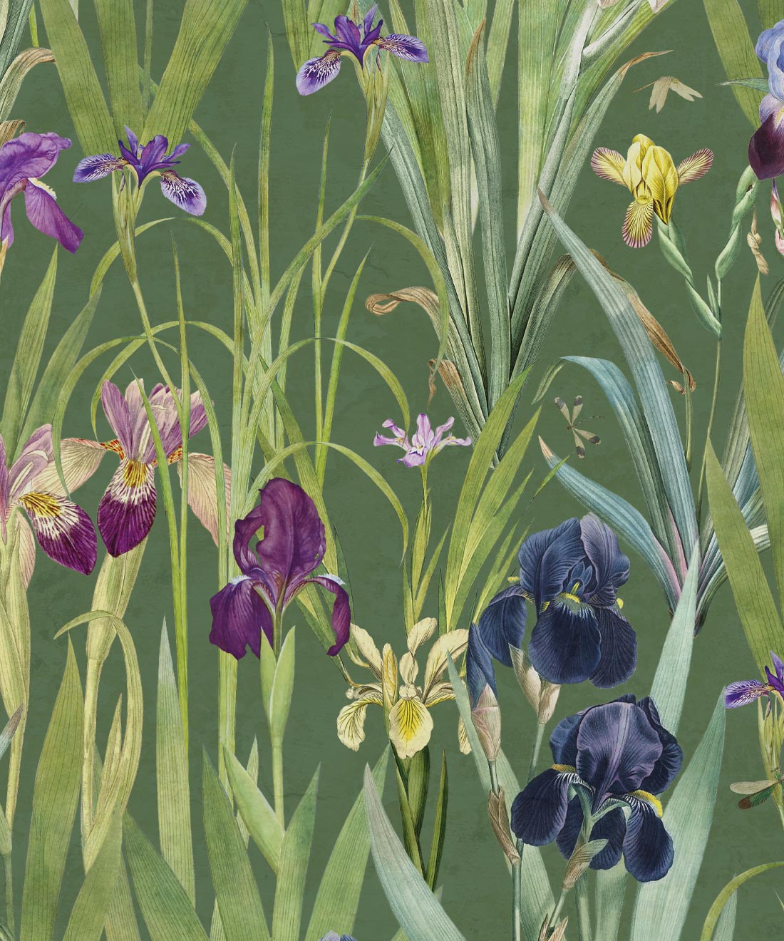 Iris Garden Mural